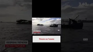 🔥 Пекельна пожежа на Гаваях! Люди рятувались в океані, а міста перетворились на згарища