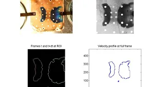 Flow in porous medium visualization