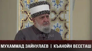 МУХАММАД ЗАЙНУЛАЕВ | КЪАНОЙН ВЕСЕТАШ