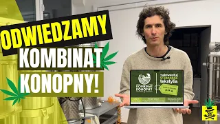 Kombinat Konopny, jak wygląda ? [KOMBINATKONOPNY X WINI]