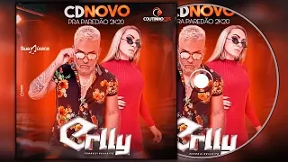 #ERLLY FORRÓ DI RESPEITO [CD PRA PAREDÃO FEVEREIRO 2K20]