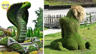 Most Amazing Living Grass Sculptures