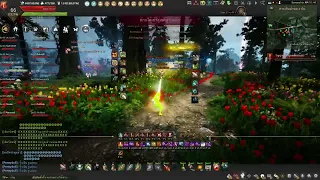 BDO RANGER SUCCESION WAR NODE 1 KAMASYLVIA