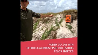 Poder do .308 WIN.