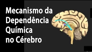 Mecanismo da Dependência Química no Cérebro. Alila Medical Media Português.