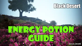 [Black Desert] Energy Potion Guide | Where to Exchange for Energy Potions