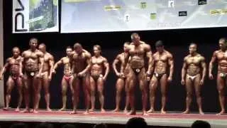 Открытый кубок городов России по бодибилдингу-2014.NABBA.