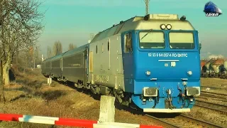 Trenuri in Oradea Est Triaj/Trains in Oradea Est Shunting Yard - 16 January 2020