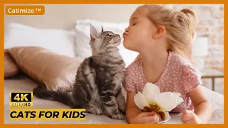 Cats for Kids! - Funny Cat Videos #38 | Cat Memes Compilation of 2022