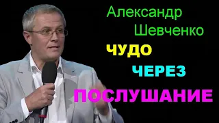 Чудо через послушание   Александр  Шевченко