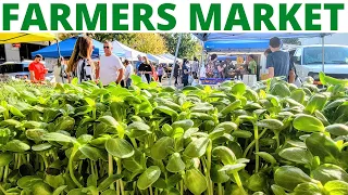 Farmers Market Setup + LIVE Q&A 03/01/22