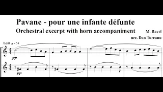 Ravel Pavane  - Orchestral Excerpt with horn accompaniment @IsabelleRoelofsFrenchHorn