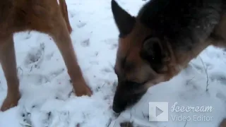 Славянск / РЕЙД ПОМОЩИ БЕЗДОМНЫМ !!! /