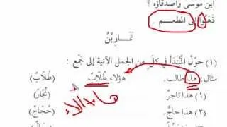 Мединский курс. Том 1. Урок 13. Множественное число "الجَمْعُ" [baytalhikma.ru]