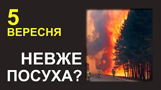 ПОГОДА НА ЗАВТРА: 5 ВЕРЕСНЯ 2023 | Точна погода на день в Україні