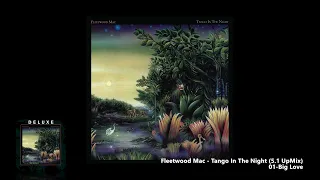 Fleetwood Mac - 01-Big Love (5.1 UpMix)