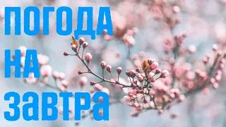 Погода на завтра в Україні 6 травня 2022