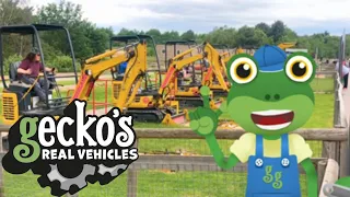 Gecko Visits Diggerland -  Gecko's Real Vehicles | Educational Videos for Kids