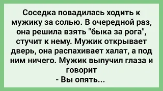 Соседка Пришла к Мужику Не за Солью! Сборник Свежих Смешных Жизненных Анекдотов!