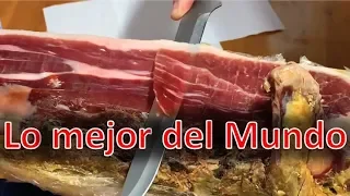 Lo mejor del mundo