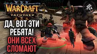 ДА, ВОТ ЭТИ РЕБЯТА! Они всех сломают: Warcraft 3 Reforged