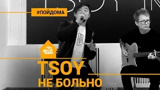 TSOY - Не Больно (проект Авторадио "Пой Дома") acoustic version