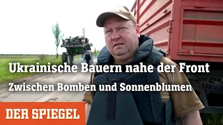 Ukrainische Bauern nahe der Front: Zwischen Bomben und Sonnenblumen | DER SPIEGEL