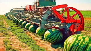 Farmers Use Farming Machines You've Never Seen   Incredible Ingenious Agriculture Inventions Ep 72