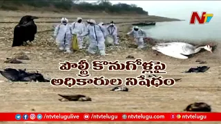 పక్షుల్లో కొత్త వైరస్.? Outbreak of bird flu in Himachal, Kerala, Rajasthan | NTV