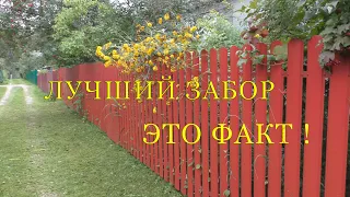 Лучший забор для дачи. Профлист, сетка рабица или штакетник?