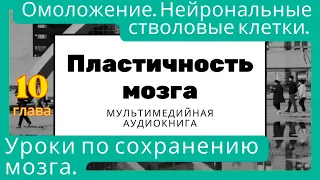 Пластичность мозга. Омоложение. Нейрональные стволовые клетки. Уроки по сохранению мозга.