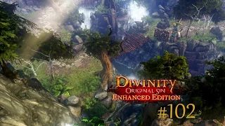 Divinity: Original Sin - Enhanced Edition #102 | Sprachlos | Let's Enjoy