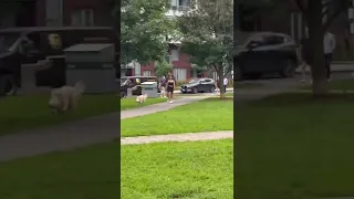 Shawn mendes and Camila cabello in Toronto walking Tarzan