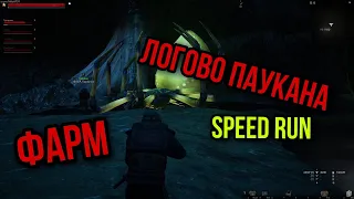 КАК ПРОЙТИ ЛОГОВО ПАУКАНА ЗА 10 МИНУТ. SPEED RUN. Stay Out Steam/ Stalker Online.