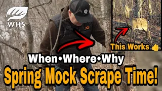How To Spring Mock Scrape Setup