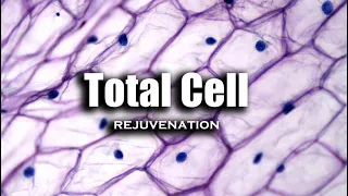 Total Cell Rejuvenation (Morphic Field)