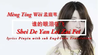 Mèng Tíng Wěi 孟庭苇  - Shei De Yan Lei Zai Fei 谁的眼泪在飞 Lyrics pinyoin sub Eng&Indo