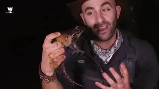 Frog realizes he's been Captured