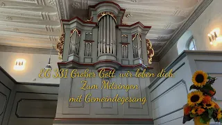 EG 331 Großer Gott, wir loben dich, |mit Gemeindegesang| |zum Mitsingen|