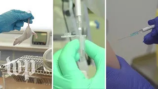 A step-by-step look at how new vaccines are made and approved