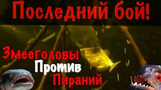 ПИРАНЬИ против ЗМЕЕГОЛОВОВ! ШОК!!! Такого никто не ожидал...