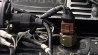 Vehicle cold start sensor