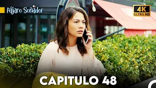 Pájaro Soñador Capítulo 48 (Doblado En Español 4K)