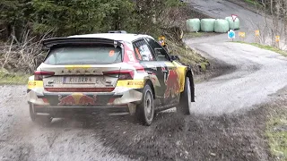 Lavanttal Rallye 2023 - Action & Mistakes [HD]