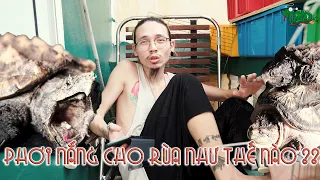 Cách phơi nắng cho RÙA an toàn và hiệu quả | WILDVN TV