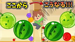 角ブドウ🍇はイヤだ！コートチェンジでダブルスイカ達成！！！【スイカゲーム#18】ゆっくり実況プレイ