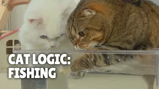 Cat Logic: Fishing | Kittisaurus