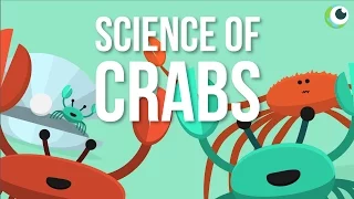 Beautiful Science - The Science of Crabs