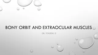Orbit -1 Lecture (Bony Orbit and Extraocular Muscles)