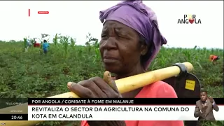 Por Angola - Combate à fome em Malanje